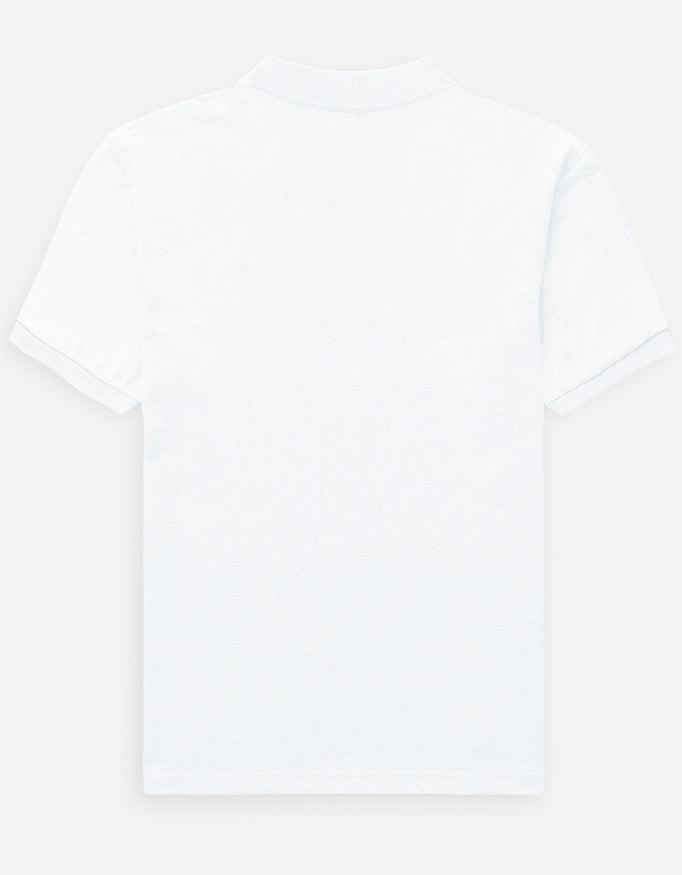 Back_3_c_1.jpg
