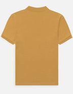 Back_3_c_43.jpg